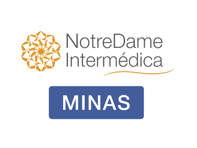 GNDI Minas