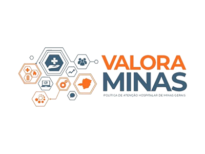 Valora Minas